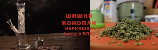 крисы Няндома