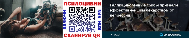 Галлюциногенные грибы Psilocybe  Фурманов 