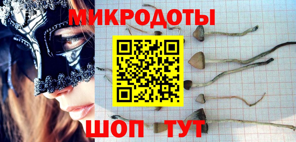 Псилоцибиновые грибы Psilocybine cubensis Фурманов