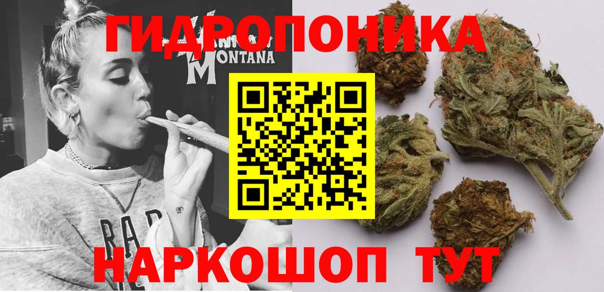 МАРИХУАНА конопля Фурманов